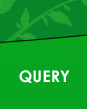 Query