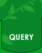 Query